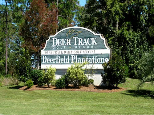 Sold Homes in Deerfield Plantation