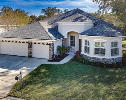 6120 Japonica Court, New Port Richey