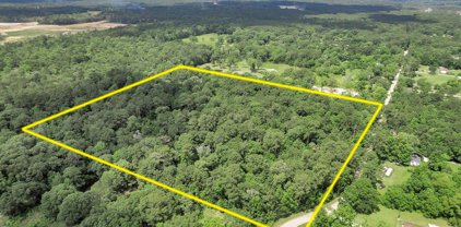 16986 Payne Road, Conroe