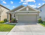 9055 Water Chestnut Drive, Temple Terrace image