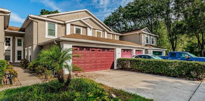 4307 Brooker Creek Drive, Palm Harbor