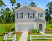 233 Coral Sunset Way, Summerville image