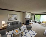 215 Barry Avenue S Unit #317, Wayzata image