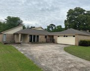 19511 Alinawood Drive, Humble image