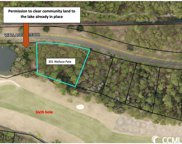 Lot 301 Wallace Pate Dr., Georgetown image