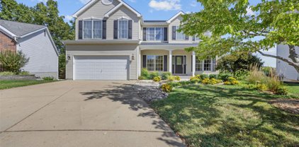 6107 Timberline Place  Court, St Louis