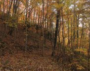 Owl View, Bryson City image