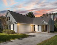 232 Mossy Oak Way, Mount Pleasant image