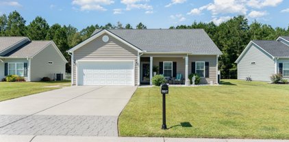337 Basswood Ct., Conway