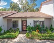 1716 Cypress Trace Drive, Safety Harbor image