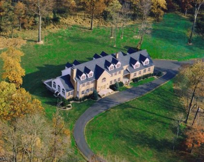 370 Dutchtown Rd, Hillsborough Twp.