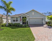 2228 Pigeon Plum Way, North Fort Myers image