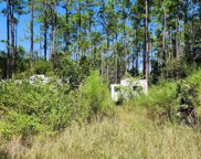5356 Nutwood Avenue, Bunnell image