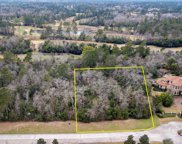 67 Hallbrook Way, Spring image