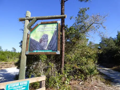 Black Hammock Wildnerness Area