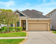 8115 Champions Forest Way, Tampa image