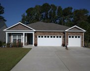 214 Swallowtail Ct., Little River image