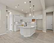 17625 Tree of Heaven, Conroe image