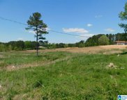 Highway 231, Oneonta image