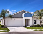 12743 Mangrove Forest Drive, Riverview image