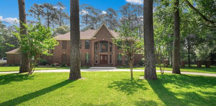 22114 Holly Lakes Drive, Tomball