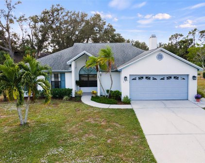 243 Woodingham Trail, Venice