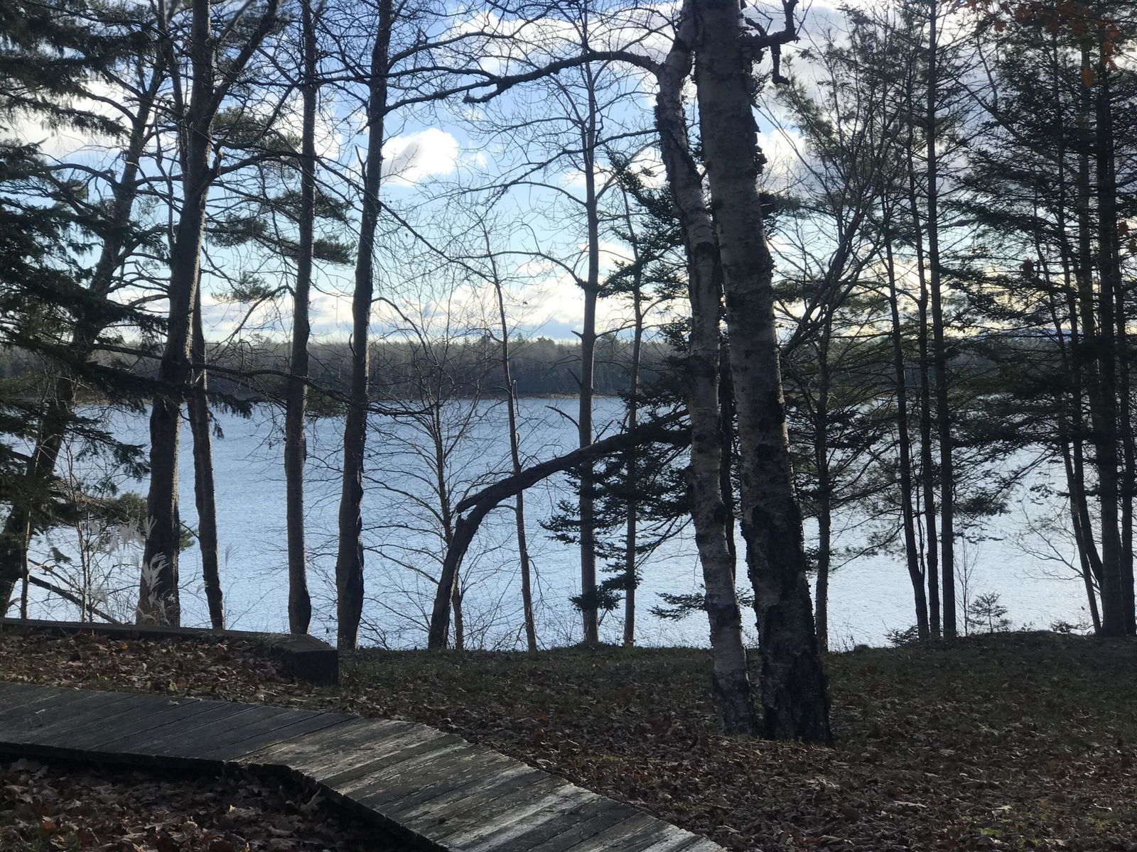 766 Bay Road, Blue Hill, 04614