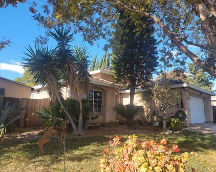 251 Firefly Way, Tracy