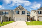 743 Redbud Lane, Summerville image