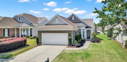 3061 Belews  Street, Indian Land