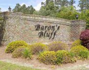 TBD Multiple Barons Bluff Dr., Conway image