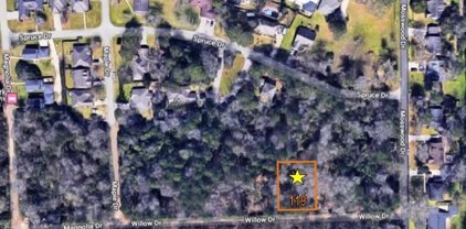 TBD WILLOW DRIVE, LOT 119, Conroe