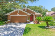 4633 Dunnie Drive, Tampa image