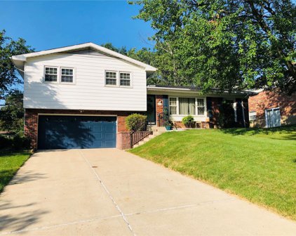 9724 Jackie  Lane, St Louis