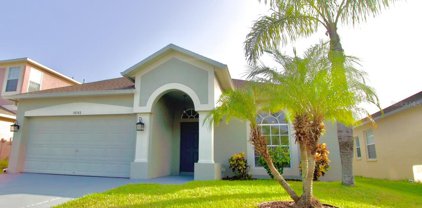 10743 Eveningwood Court, Trinity