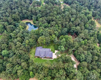 15537 Crown Oaks Drive, Montgomery