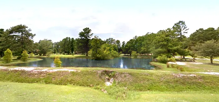 Roadside Pond on Hwy 9 in Longs