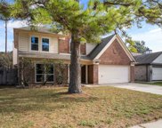 9906 Pale Star Drive Drive, Houston image