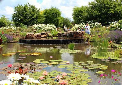 powell garden