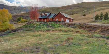 23 Buffalo, Horseshoe Bend