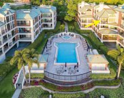 869 Seddon Cove Way, Tampa image
