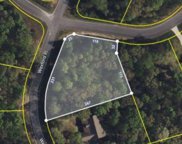 Lot 54 Wexford Place, Cohutta image