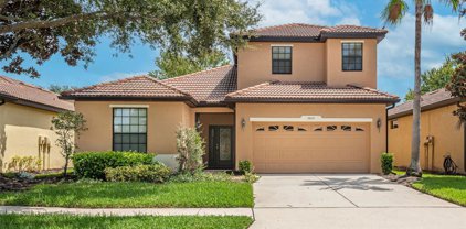 5809 Hidden Falls Lane, Apollo Beach