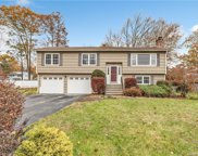 47 Swanson Drive, Milford image