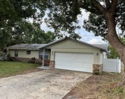 1130 Baton Drive, Deltona image