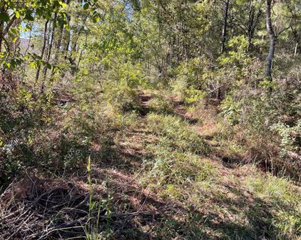 0000 FM 2090, Splendora