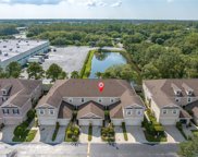 10128 Tranquility Way, Tampa image