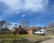 20615 Leafdale Court, Humble image