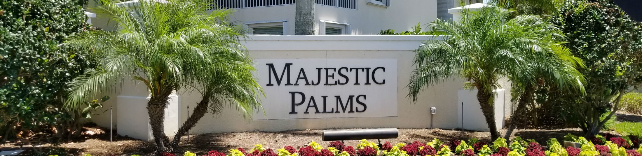 Majestic Palms
