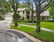 2461 Waterview Court, Palm Harbor image